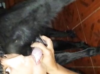 Full Animal Sex Videos