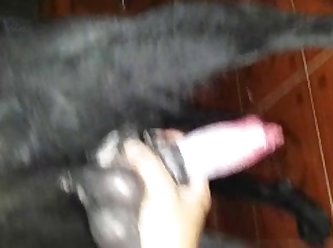 Full Animal Sex Videos
