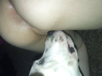 Animal Sex Tub