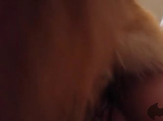 Www Animal Sex. Com