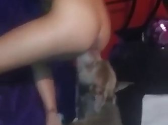 Funny Zoo Porn