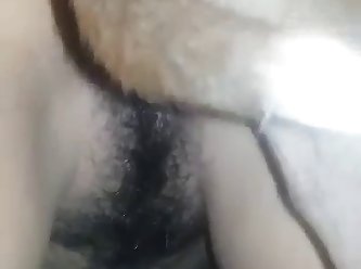 Funny Zoo Porn