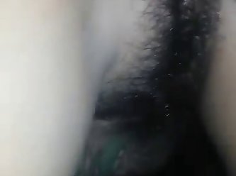 Funny Zoo Porn