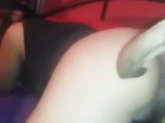Funny Zoo Porn