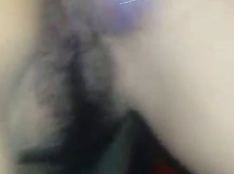 Funny Zoo Porn