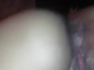 Funny Zoo Porn