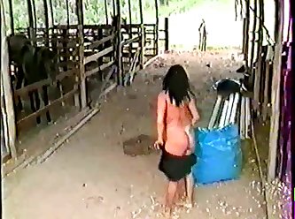 Dog Lick Pussy Zoo Porn