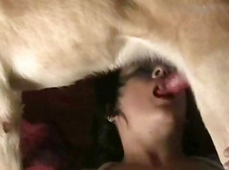 Animal Sex Dildo