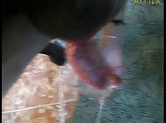Tamil Animal Sex Video