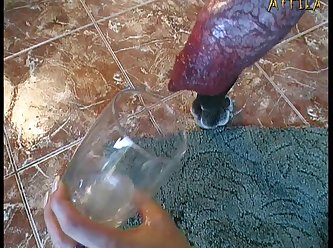 Tamil Animal Sex Video