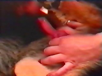 Tamil Animal Sex