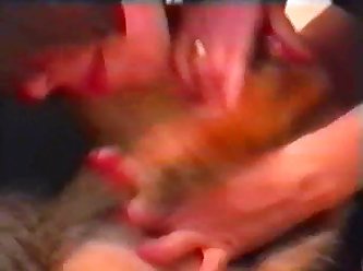 Tamil Animal Sex