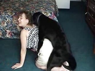 Animal Sex Vidio Com