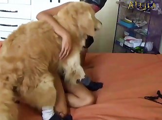 Sofia Dog Porn
