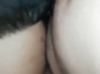 Dog Porn Geschichte