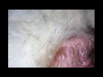 K9 Monster Porn