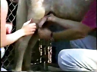 She Dog Porn