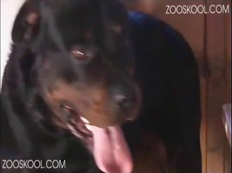Teen Knotted Dog Porn