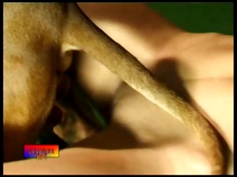 Samantha Lee White Dog Porn