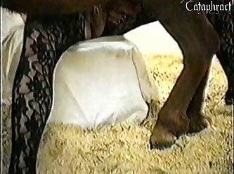Lazy Dog Porn Gif