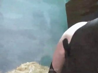 Dog Porn Caught