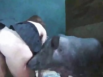 Dog Porn Caught