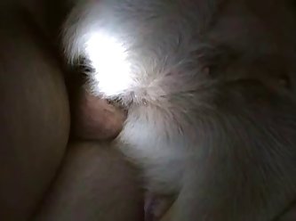Latina Fuck Dog Porn