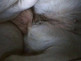 Latina Fuck Dog Porn