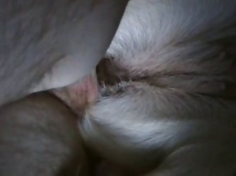Latina Fuck Dog Porn