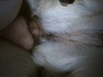 Latina Fuck Dog Porn