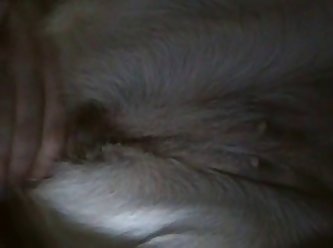Latina Fuck Dog Porn