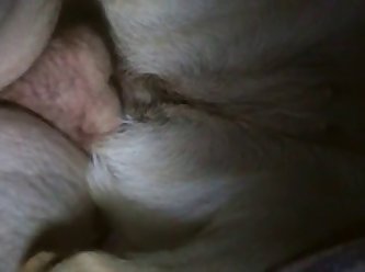 Latina Fuck Dog Porn