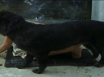 Dog Porn Show