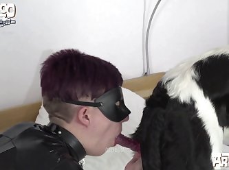 Michelle Dog Porn