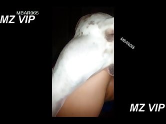 Creampie Zoophilie