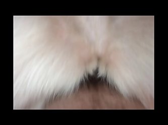 Its Nat Dog Porn
