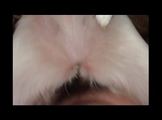 Its Nat Dog Porn