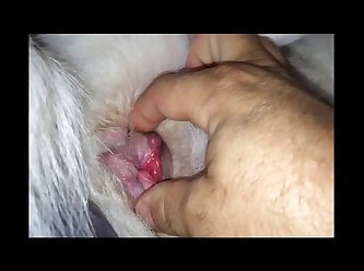 Its Nat Dog Porn