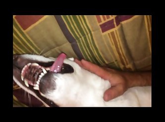Its Nat Dog Porn