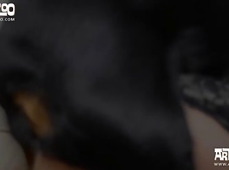 Black Girl Fucks Dog Xxx