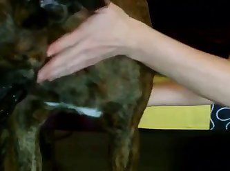 Dribbled Onto My Pale Back. Looking Around The Room I