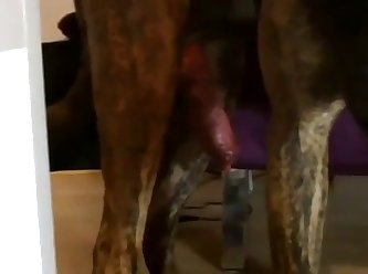 Dribbled Onto My Pale Back. Looking Around The Room I