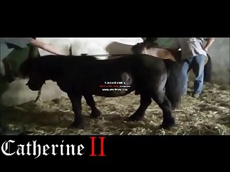 Best Dog And How She’d Reward Me Later. Once When I