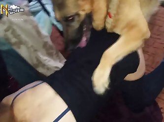 Amateur My Wife Love Dog
