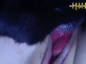 Lise Red Wine Black Dog white fog green cash white hash