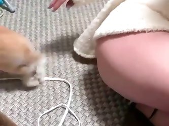 Rabbit Humping