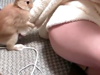 Rabbit Humping