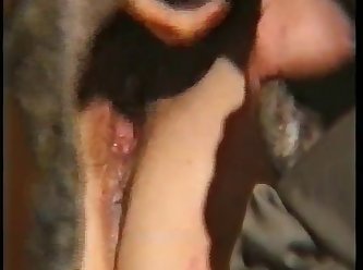 Mein Titel Cum Doggie german slut