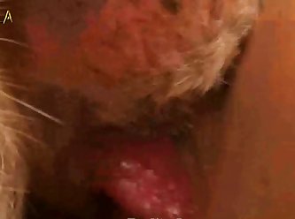 Strap From Beth's Ankles Without Her Being Able To Go