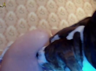 Projector Descended From The Ceiling And Lit Up The